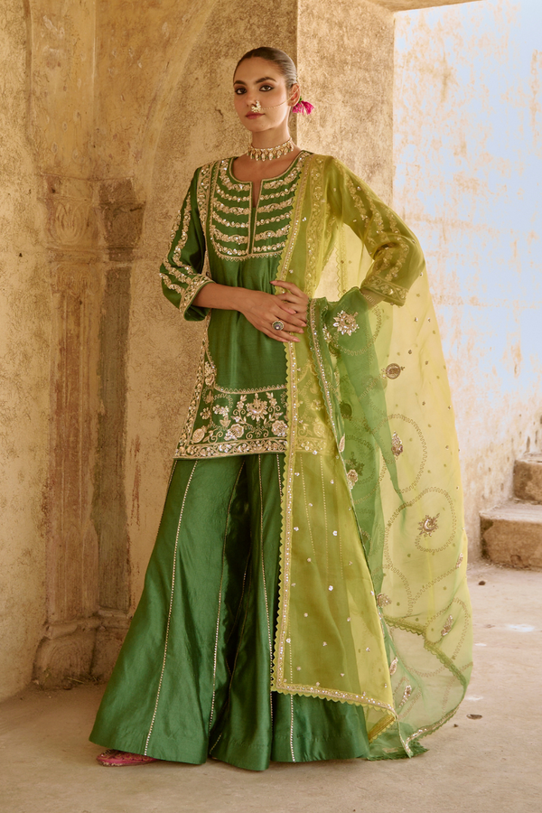 Ali Rasika Rasika Gharara Set